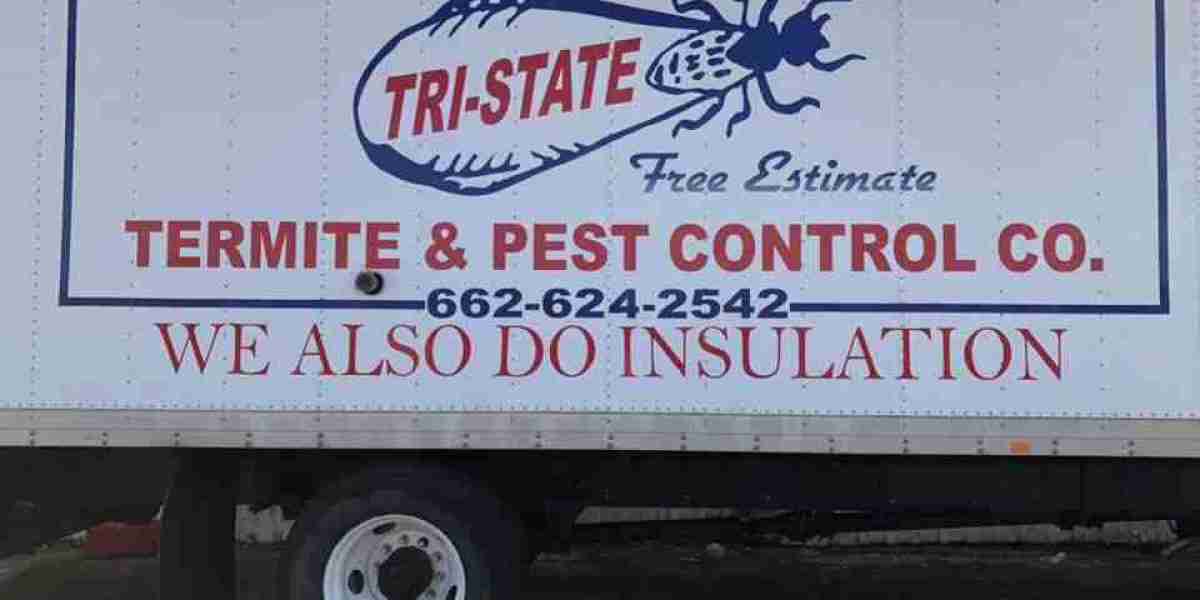 How to Identify and Prevent Bed Bugs in Cleveland: A Complete Guide