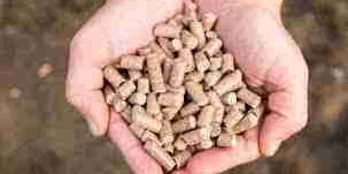 Feed Mycotoxin Binders Market Surges to USD 2.9 Billion. Biowarfare Technology Tackles USD 3.7 Billion Contamination Cri