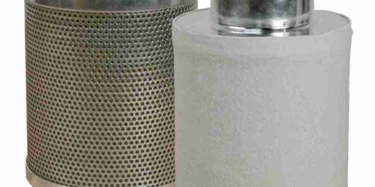 Activated Carbon Filter Market Overview: Sustainability and Eco-Friendly Trends Boosting Global Demand