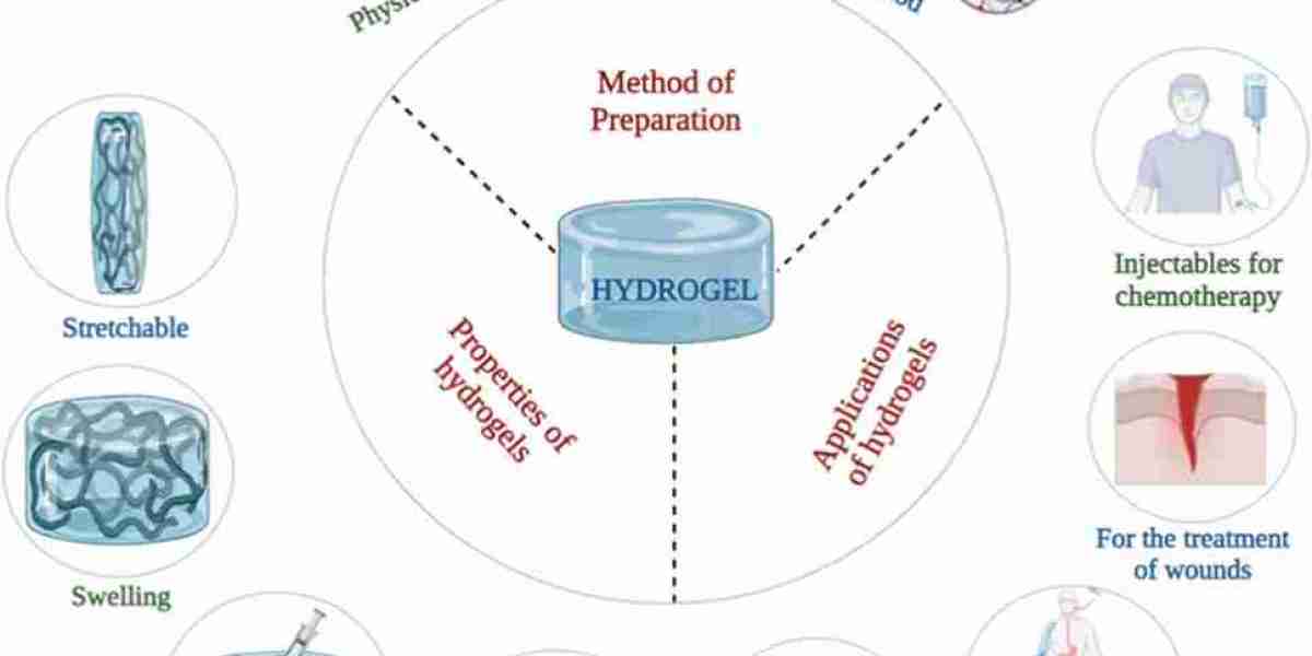Hydrogel-Based Drug Delivery: Key Market Impacting Factors Shaping Growth and Innovation