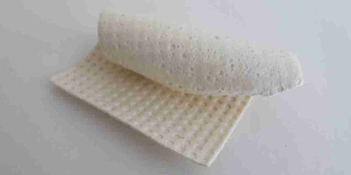 Bio-based Foam Market Expected to Grow Rapidly Due to Environmental and Regulatory Pressures