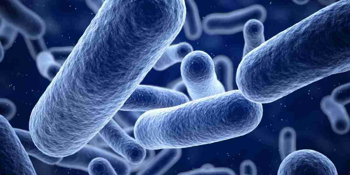 The Truth About Bacterial Infections and Resistance