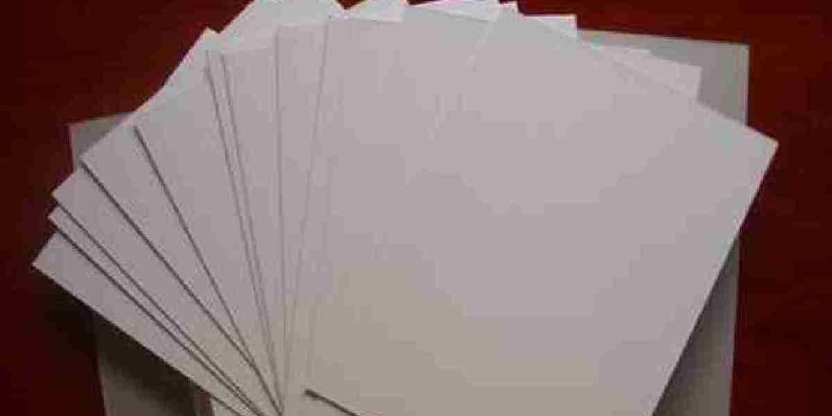 The Role of Sustainability in the Duplex Paper and Board Market Growth