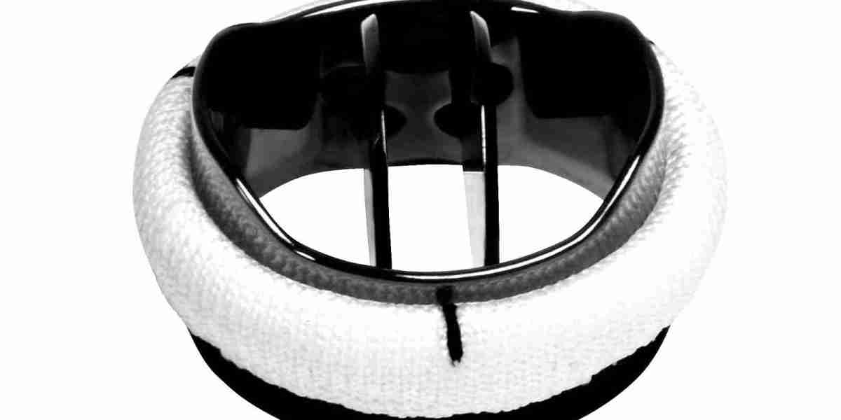 Regional Analysis of the Prosthetic Heart Valves Market: Growth Hotspots and Investment Trends
