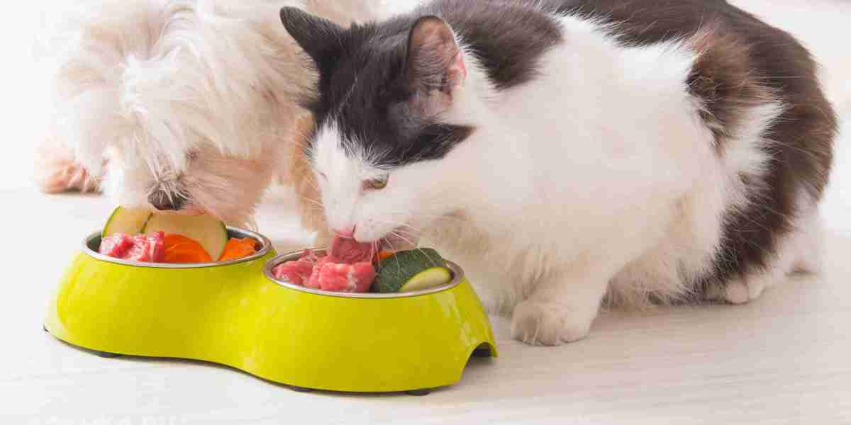 Pet Food Palatants Market Demand: Evaluating Key Drivers Influencing Consumer Preference for Enhanced Taste