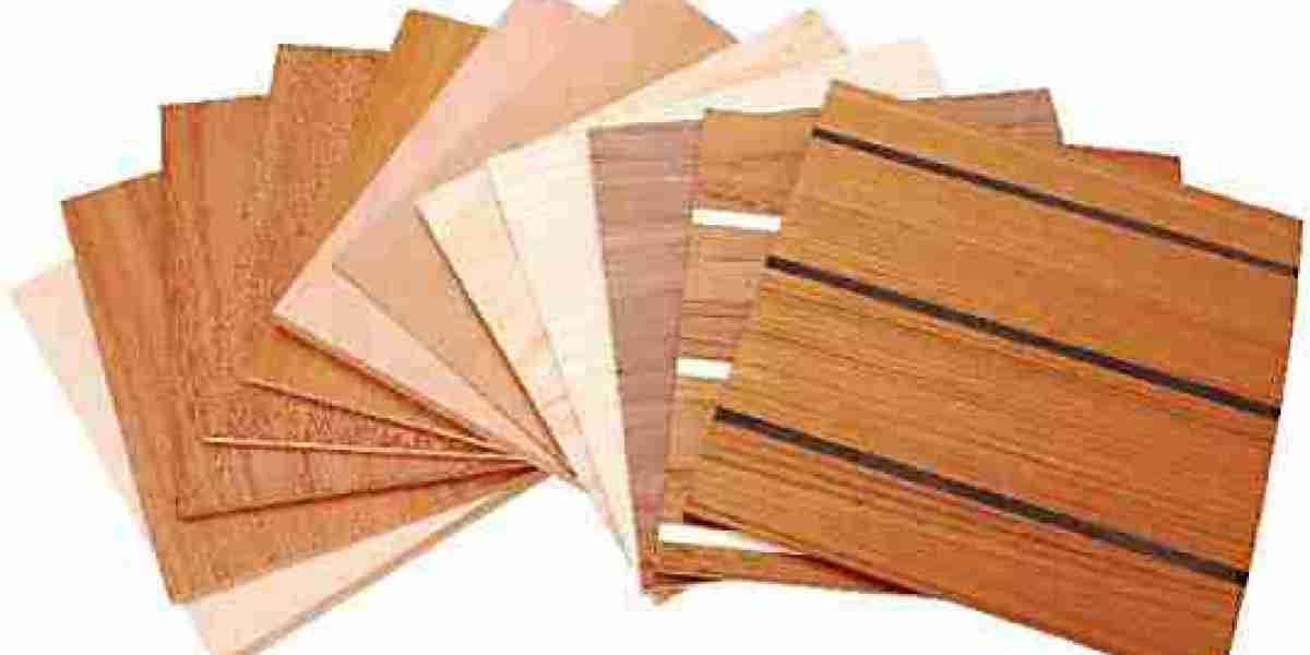 Veneer Sheets Market Trends 2025: What Industry Players Need to Know