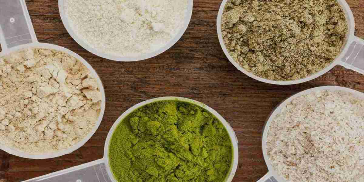 Plant-based Flavour Market Forecast: Future Scenarios and Strategic Insights