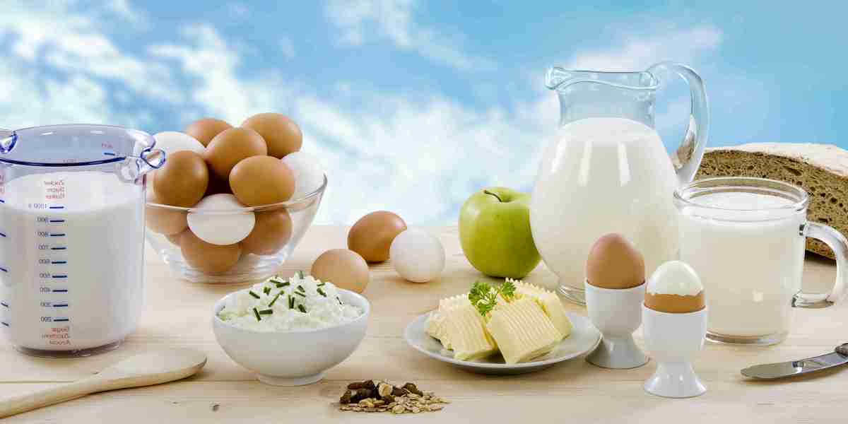 Dairy Enzymes Market Poised for Expansion Amid Growing Popularity of Specialty and Organic Dairy Products