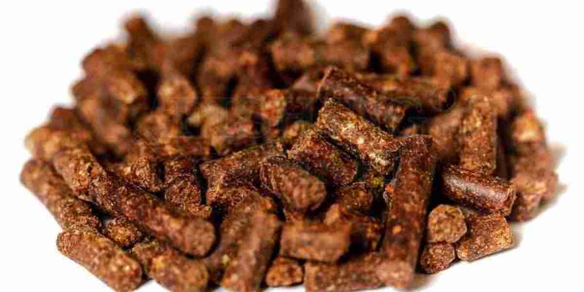 Rapeseed Meal Market Forecast Reveals Steady Rise in Demand from Poultry and Aquaculture Sectors