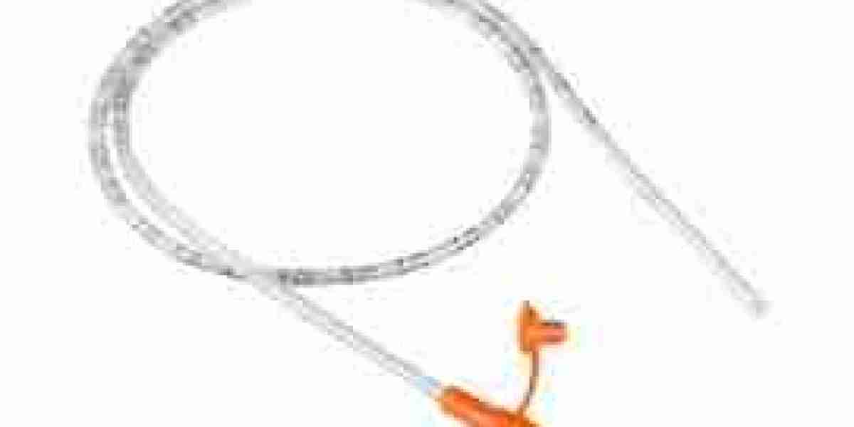 Feeding Tubes Market Services: Enhancing Patient Care Through Comprehensive Support