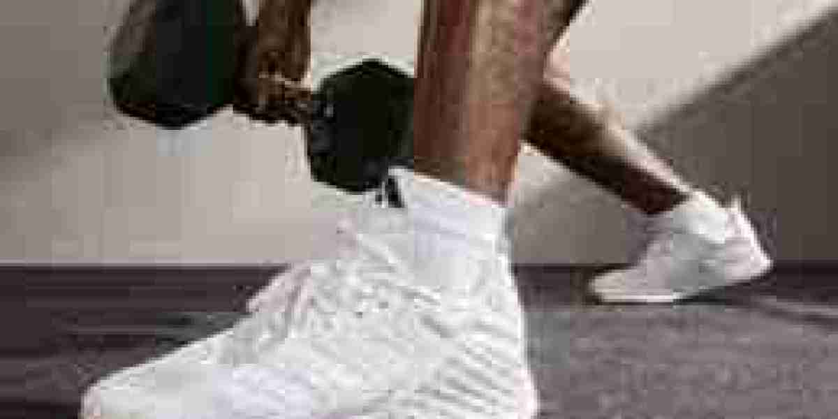 Gym Shoes Market poised for growth with the rise of active lifestyle and wellness culture