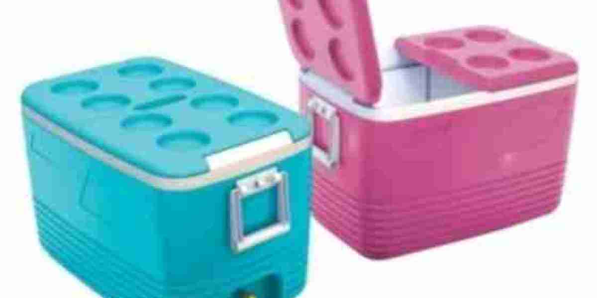 Ice Boxes Market Overview: Increasing Market Penetration and Consumer Demand for Premium Ice Boxes