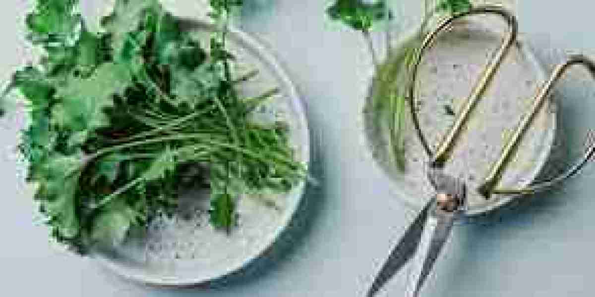 Lutein Market Growth Expected to Surge with Rising Consumer Demand for Natural Supplements