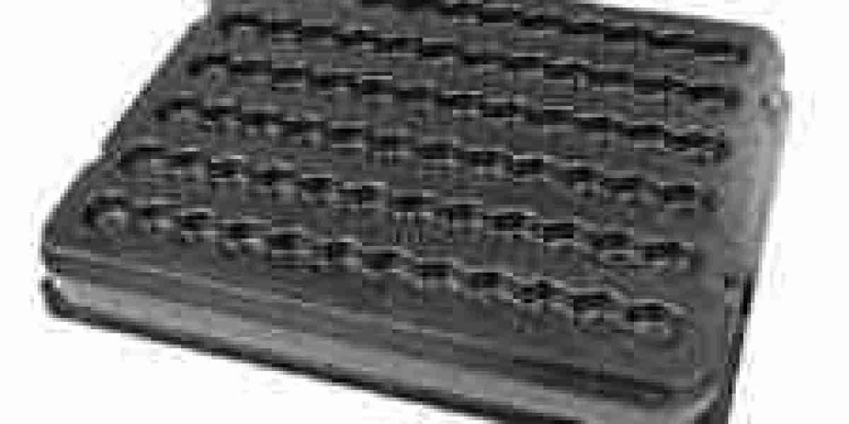 Thermoformed trays market insights: Regional preferences and growth patterns in thermoformed plastic tray use