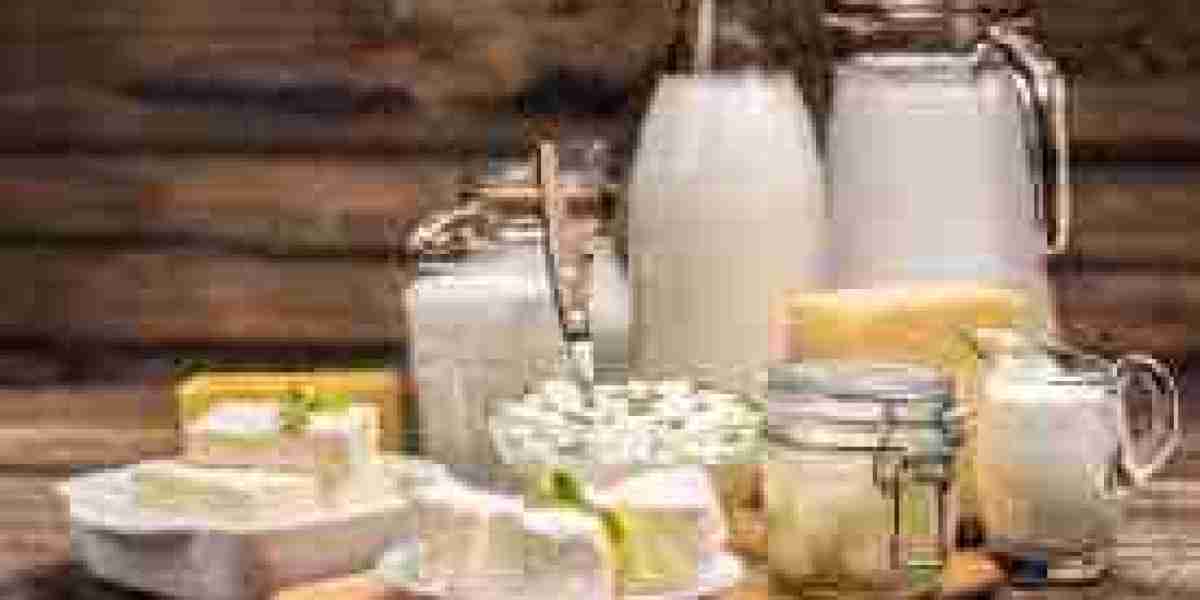 Lactase Market Scenario: Trends, Drivers, and Future Outlook