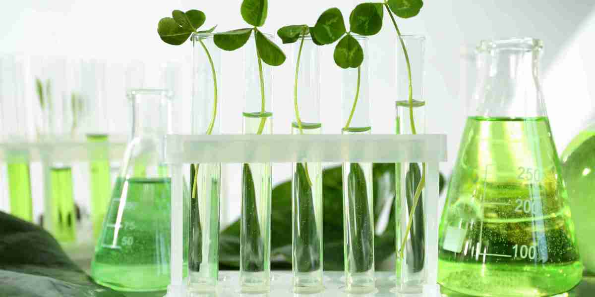 Botanical Extracts Market Demand: Understanding the Surge in Interest for Natural, Plant-Based Ingredients