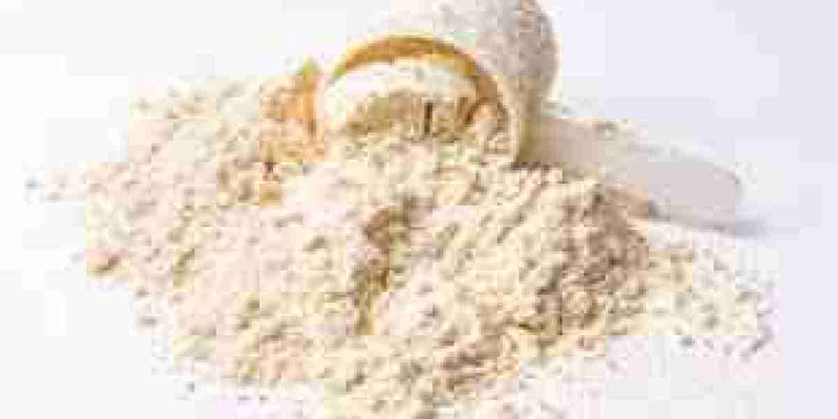 Deproteinized Whey Market Overview Explores Major Factors Driving the Rise in Functional Food Ingredients