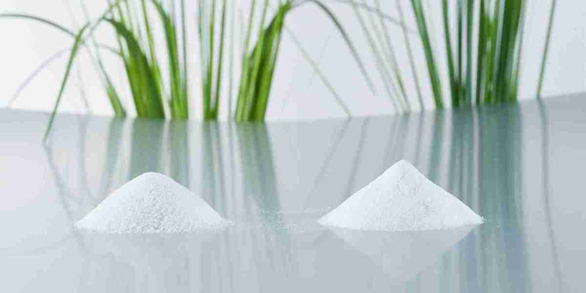 Cellulose Acetate Market Stability Challenged by Bioplastic Alternatives and Global Policy Changes