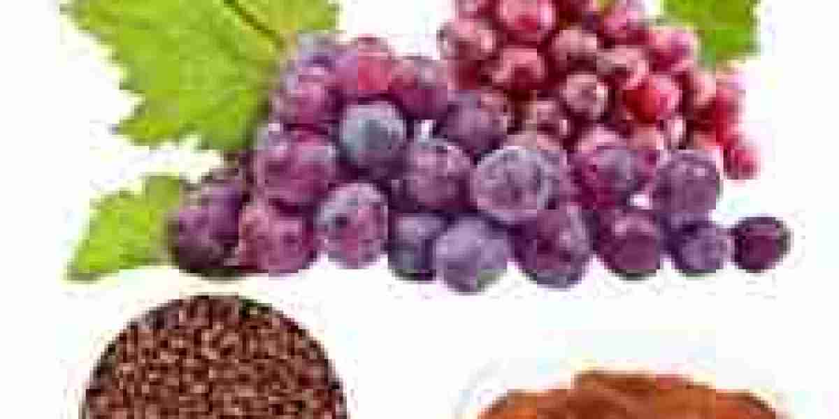 Grape Skin Extract Market Potential: Innovations in Extraction Technologies Enhancing Product Efficacy