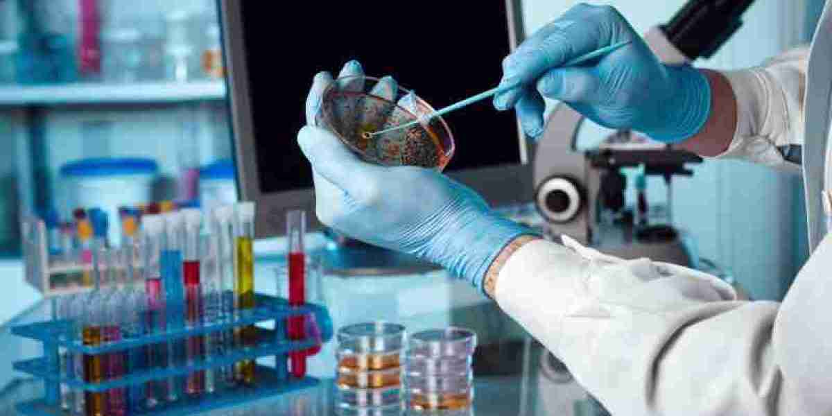 Global Enteric Disease Testing Market Size, Share, Key Players, Trends, Sales, Supply, Demand, Analysis and Forecast 203