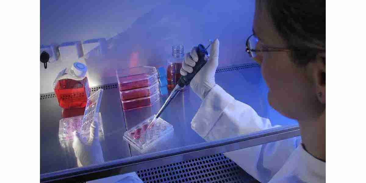 In Vitro Diagnostics Test Kit Market Intelligence: Demand Surge for Infectious Disease Testing in Developing Economies