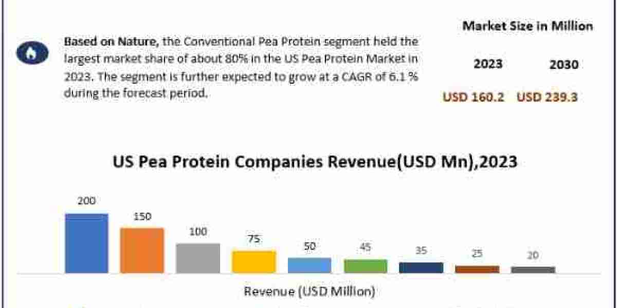 US Pea Protein Market Report and Forecast Period Of 2024-2030