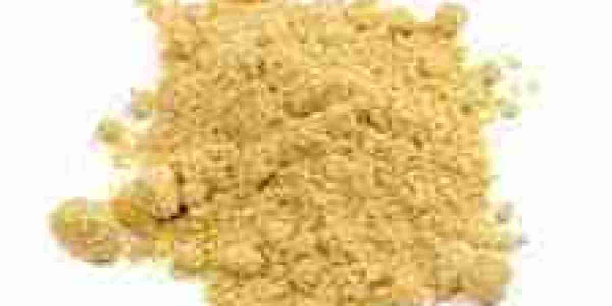 Yeast Nucleotides Market Research: Trends, Insights, and Key Findings