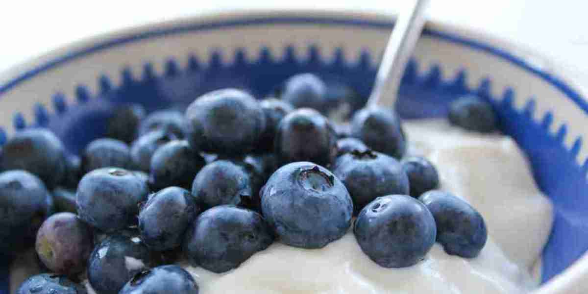 Citrus Yogurt Market Dynamics: Understanding the Forces Driving Growth and Change