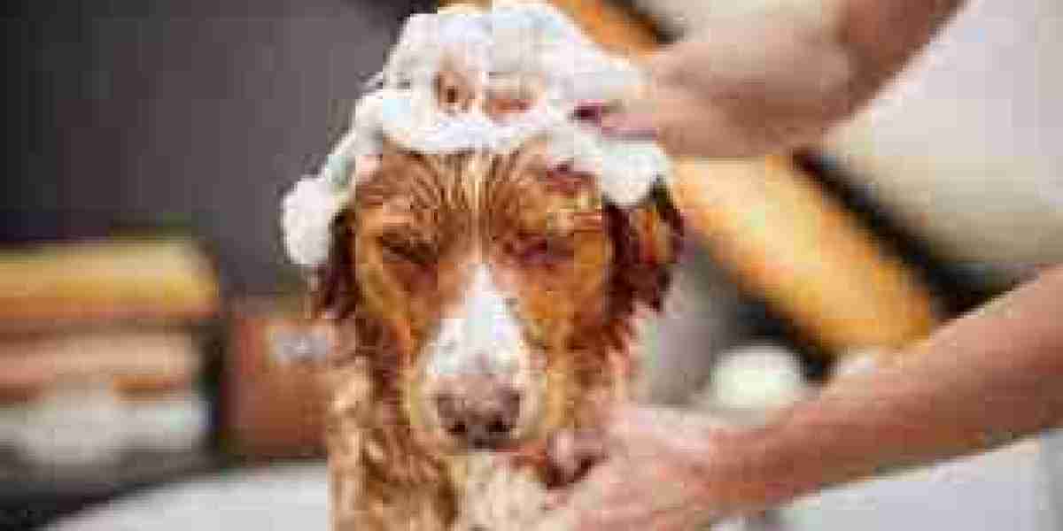Non-Medicated Pet Shampoo Market Services: Enhancing Pet Care through Innovation and Customer-Centric Solutions