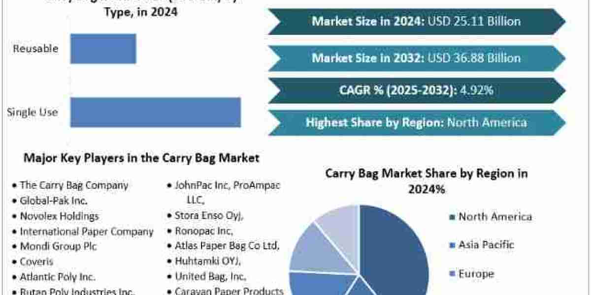 Carry Bag Market Opportunities, Sales Revenue, Forecast 2025-2032