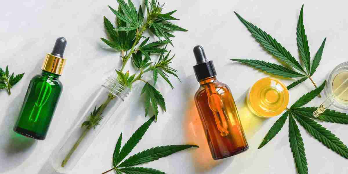 CBD Oil Market Experiences Rapid Growth Despite Regulatory and Competitive Challenges in Industry Landscape