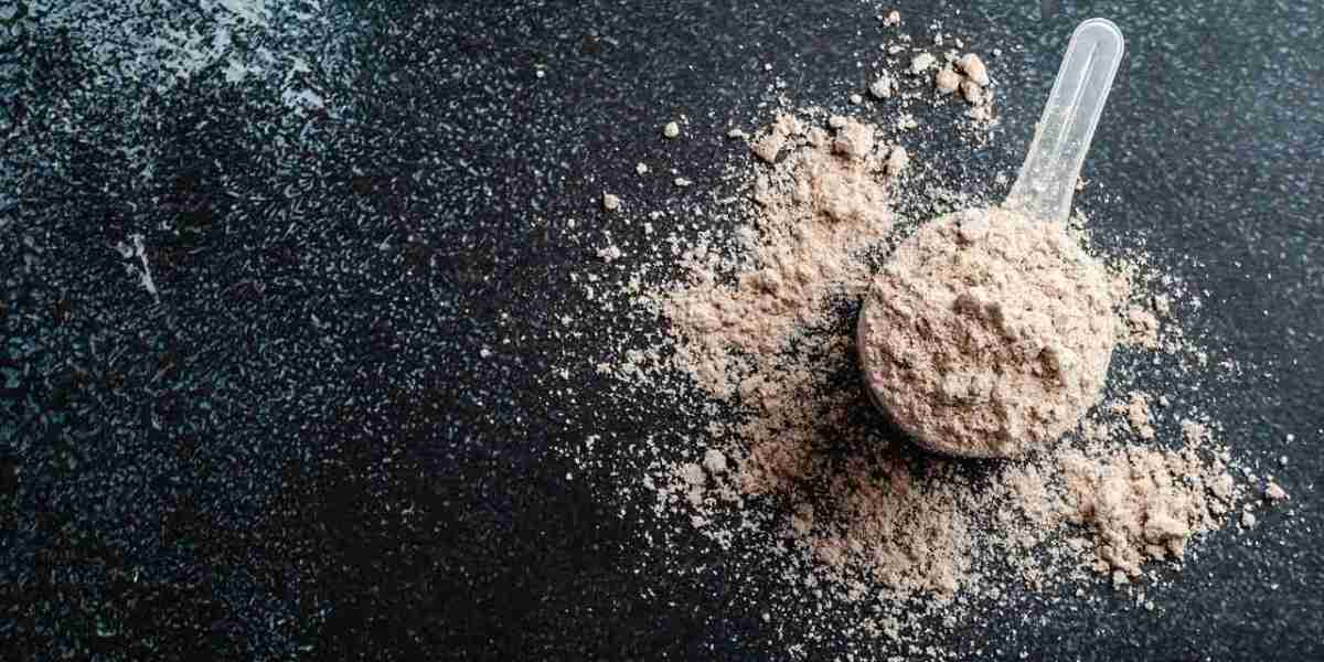 Vegan Protein Powder Market: Global Potential and Growth Prospects