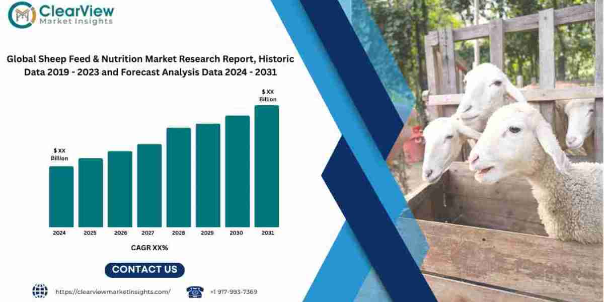 Sheep Feed and Nutrition Market to Reach USD 13.2 Billion by 2031 Amid Global Demand for High-Efficiency, Sustainable Fe
