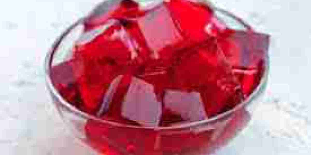 Gelatin Substitutes Market Development: A Growing Sector in the Food and Beverage Industry