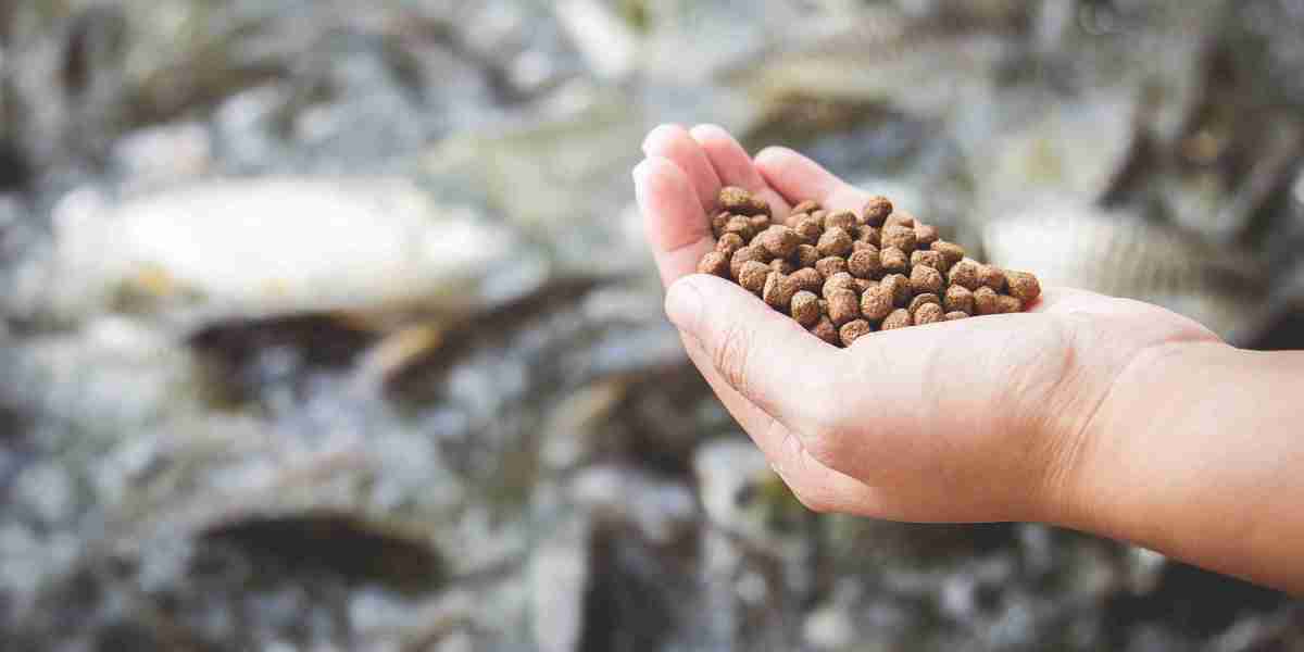 Aquaculture Feed Market: Exploring Growth Trends and Unlocking Future Global Opportunities and Potential