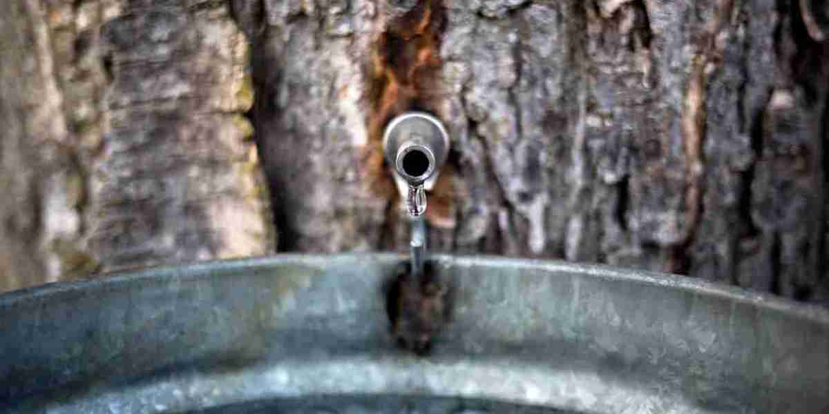 Maple Water Market Restraints: Supply Limitations, Awareness Gaps, and Cost Challenges