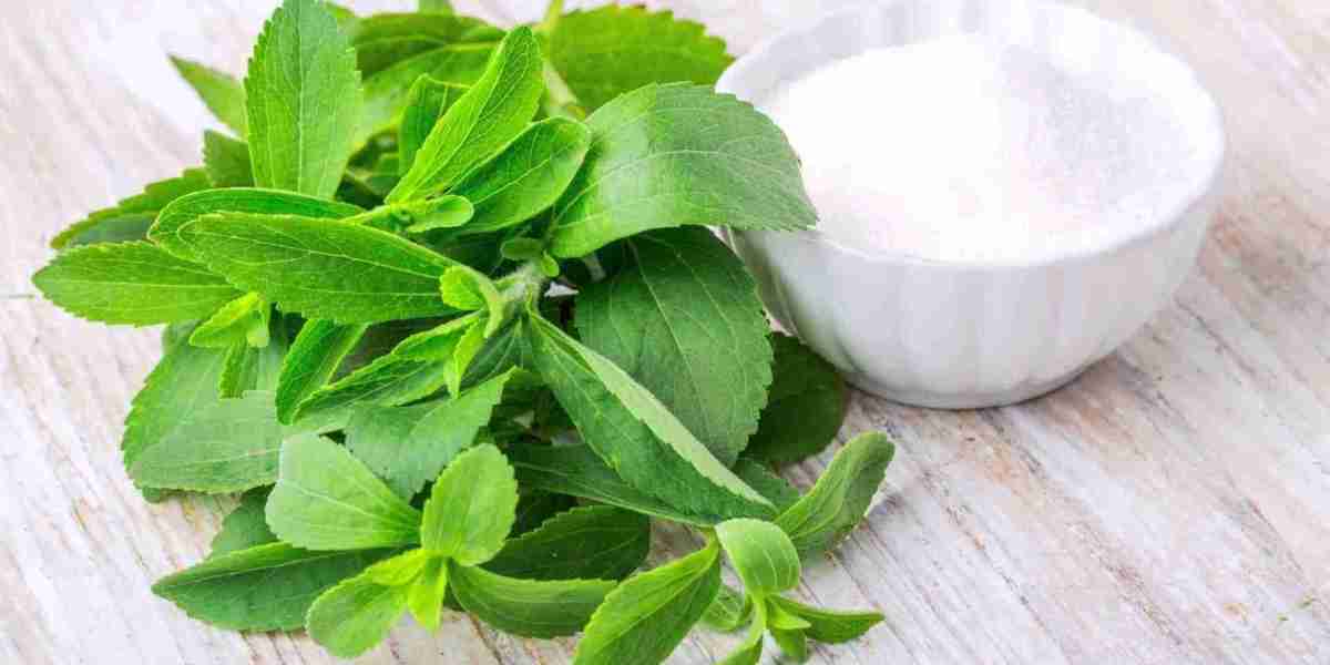 Stevia Extract Market Overcomes Taste Challenges While Competing with Sugar and Artificial Sweeteners