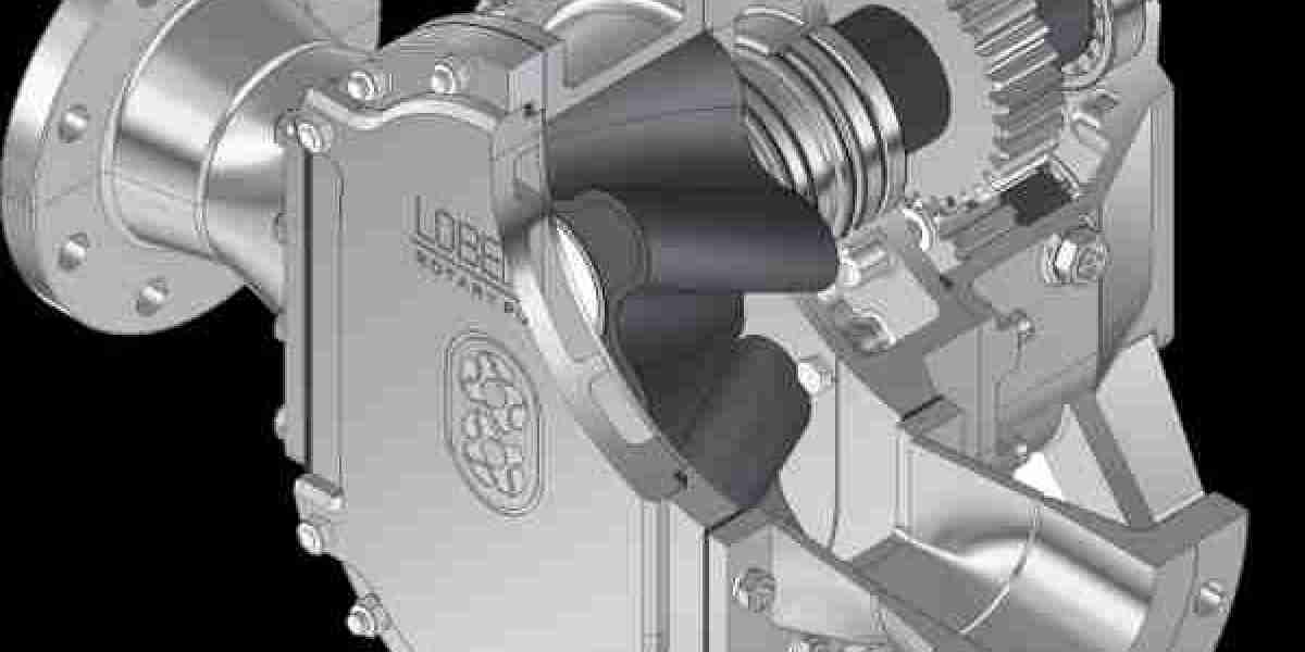 Rotary Pumps Market Overview: Understanding Regional Demand Patterns and Application-Based Performance Benefits