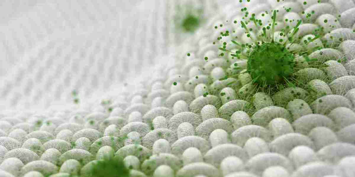 Antimicrobial Textiles Market Trends Highlight Increasing Adoption in Healthcare Sportswear and Home Sectors