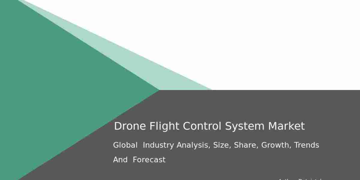 Global Drone Flight Control Systems Forecast and Size Analysis