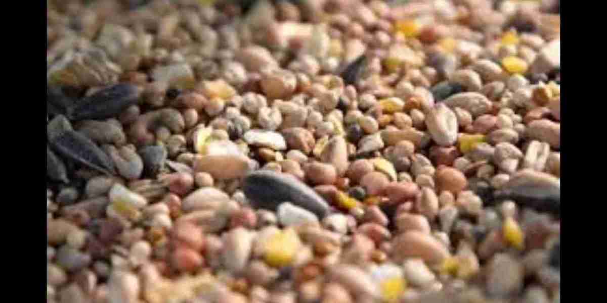 Bird Food Market Inhibitors Slowing Growth, Impacting Profitability, and Disrupting Consumer Demand Worldwide