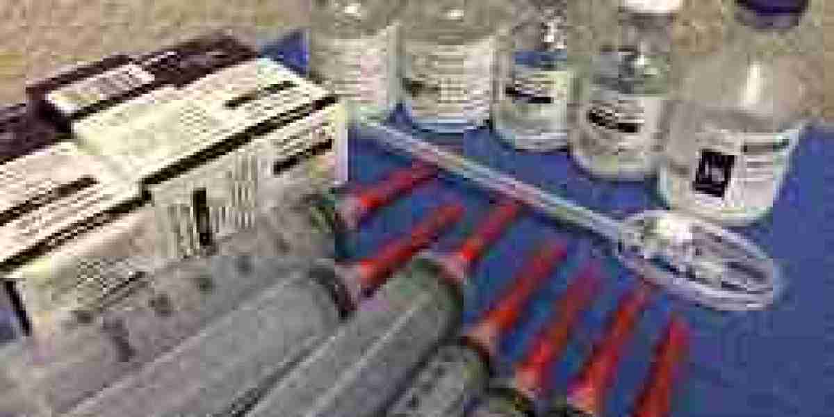 Europe Ultrasound Devices Market  Insights 2025-2033| Growth & Opportunity Analysis