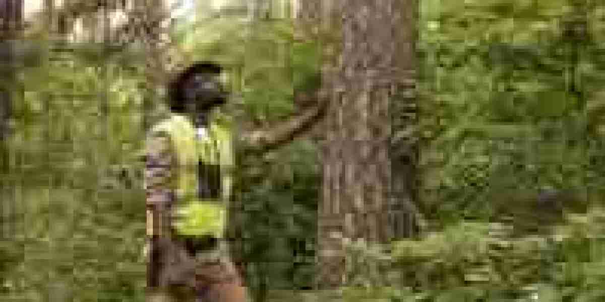 Affordable Tree Service for Homeowners – Quality Work, Fair Prices