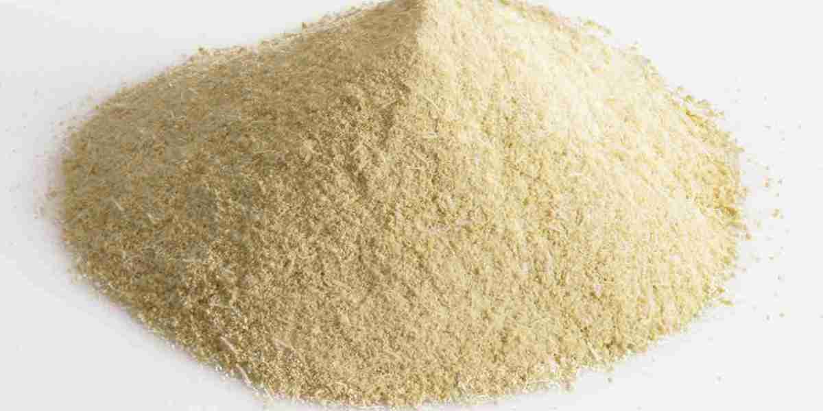 Cheese Powder Market Risks and Threats Affecting Pricing Stability and Supply Chain Efficiency