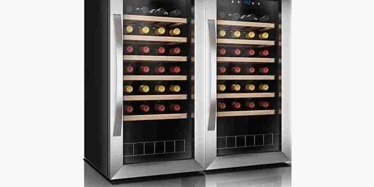Wine Cooler Market Analysis: Top Selling Models and Features