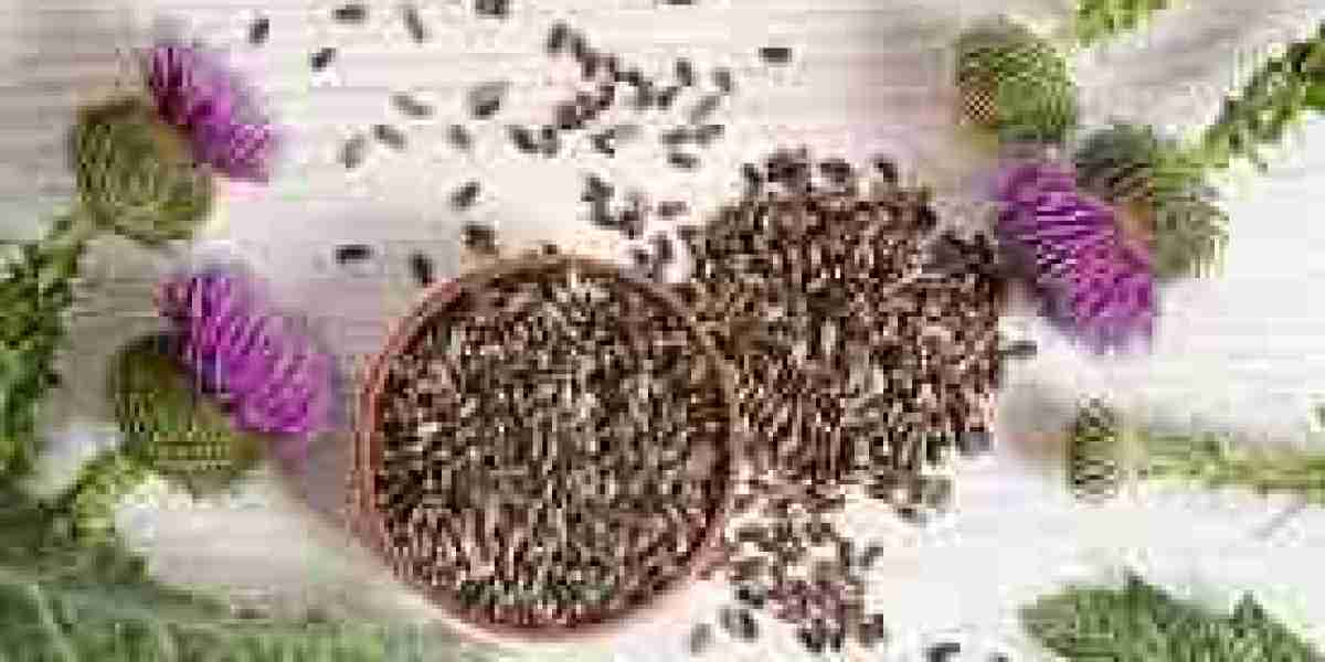 Milk Thistle Supplements Market Shifts: Leveraging E-Commerce Channels for Global Market Reach