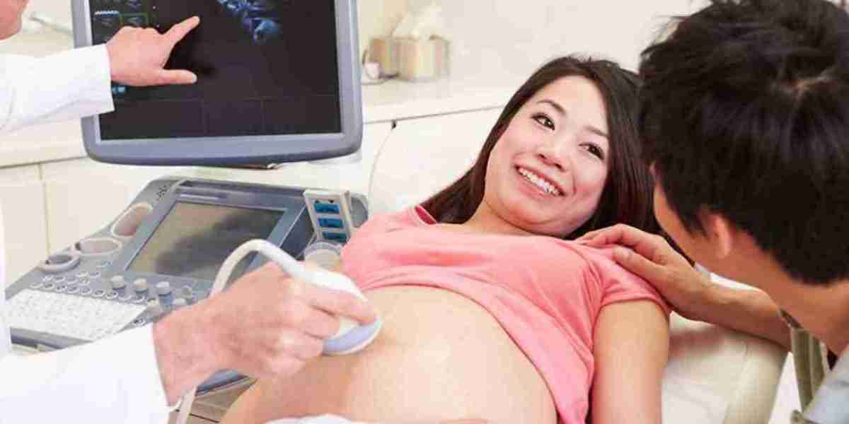 Fetal and Neonatal Heart Monitor Market Insights: Addressing the Growing Need for Early Detection of Cardiac Issues