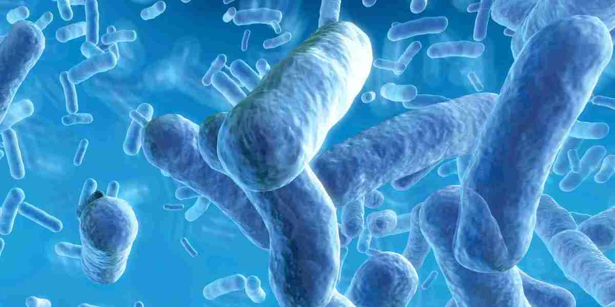 Animal Probiotics Market Trends Reveal High Demand in Companion Animal Nutrition and Pet Wellness Products