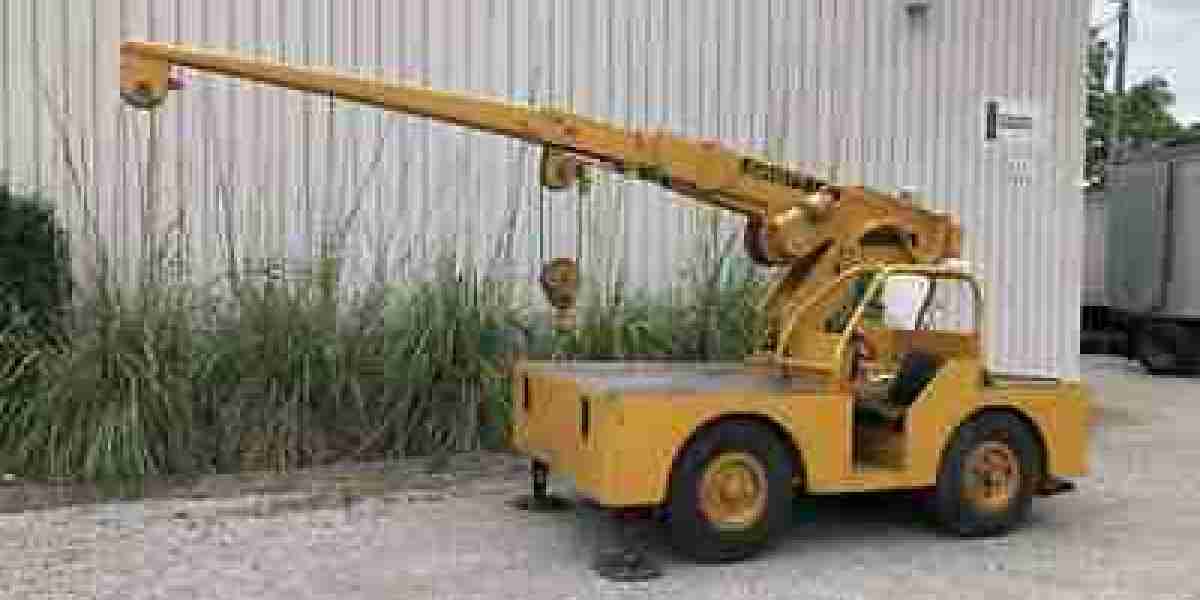 Carry Deck Crane Market Expansion Driven by Infrastructure Development Across Emerging Global Regions