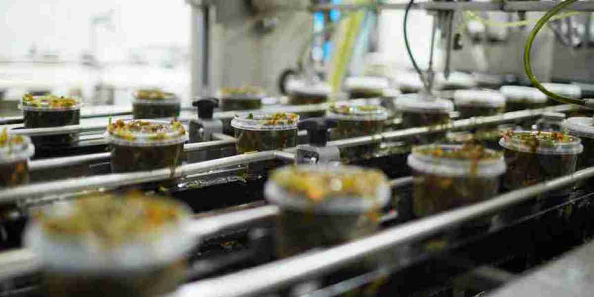 Beverage Botanical Extracts Market Scope: Evaluating Regional Expansion and Demand for Functional Ingredients